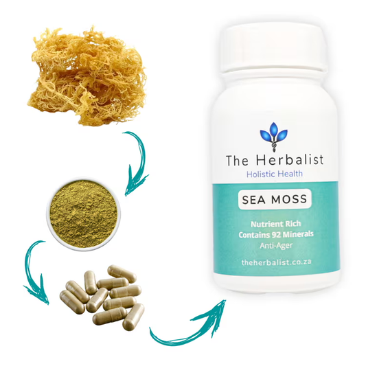 Bottle of Sea Moss from The Herbalist with sea moss, powder, and capsules on a white background