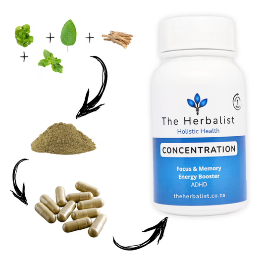 Bottle of 'The Herbalist' Concentration supplement with herbal elements on a white background