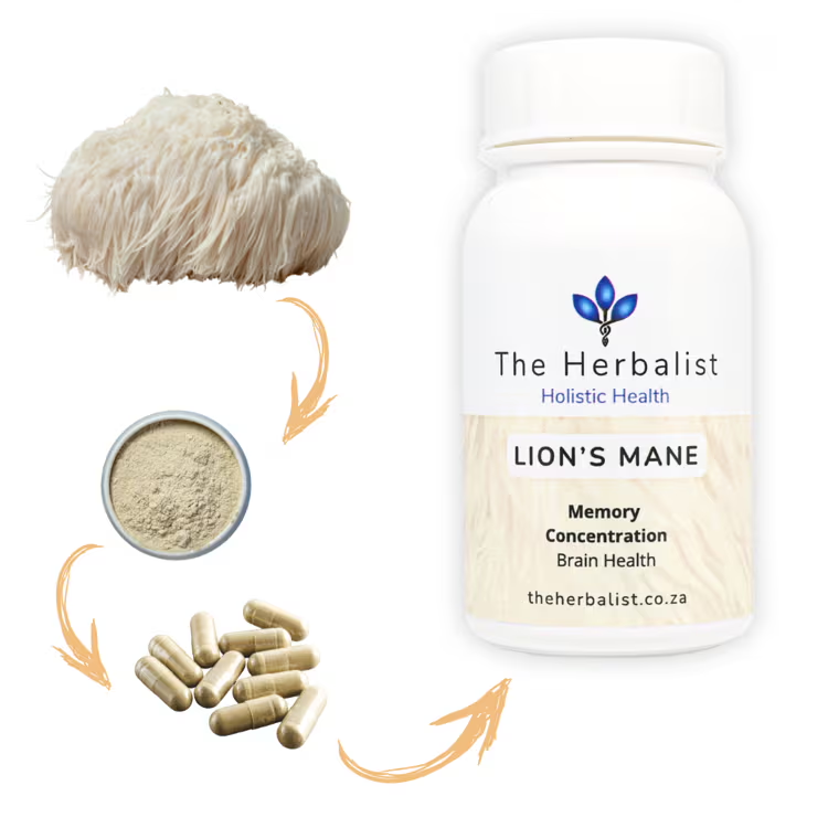 Bottle of 'Lion's Mane' from 'The Herbalist' with dried mushroom, powder, and capsules on a white background.