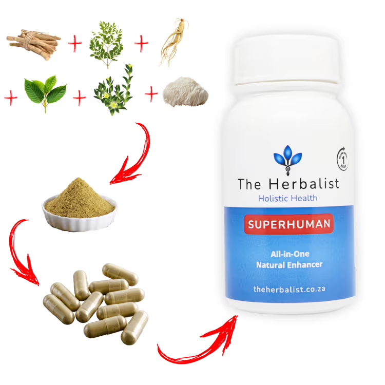 Bottle of 'The Herbalist Superhuman' supplement with herbs and capsules on a white background